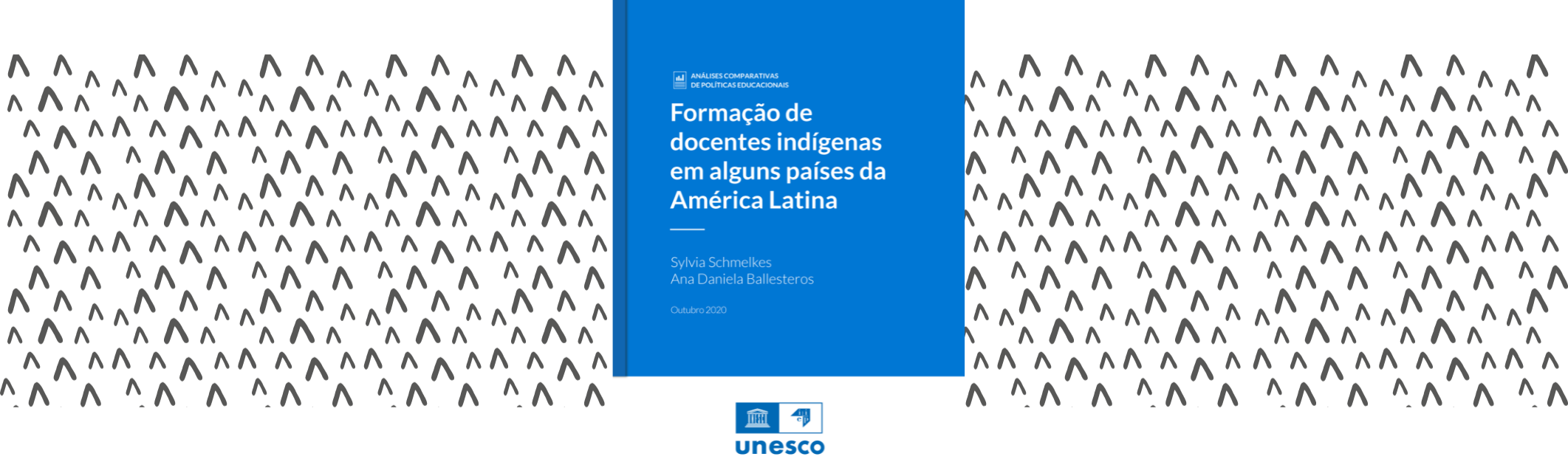 Formação de docentes indígenas em alguns países da América Latina
