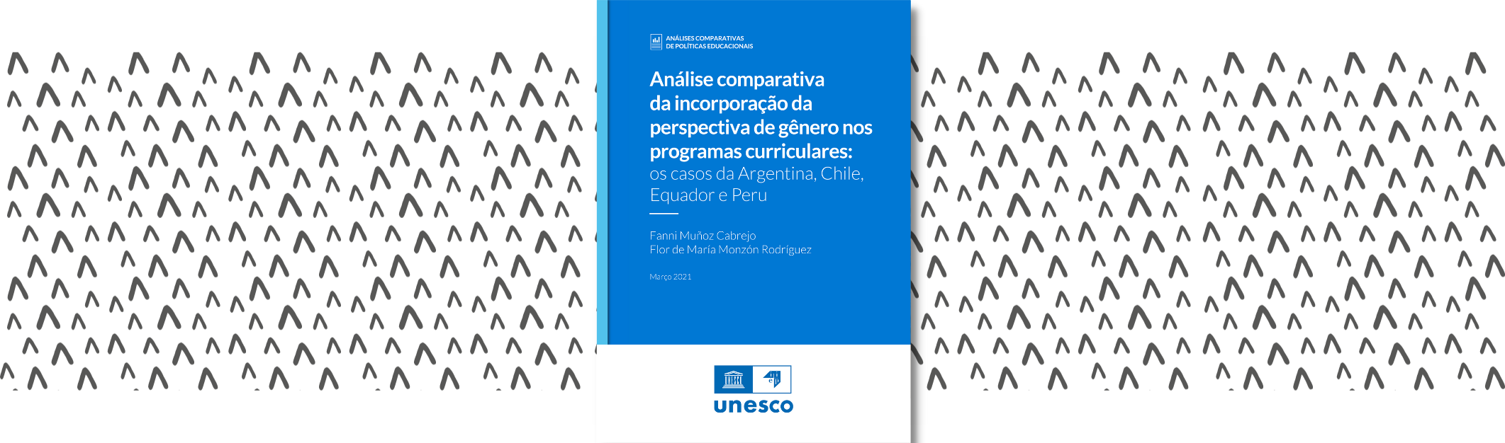 Análise comparativa da incorporação da perspectiva de gênero nos programas curriculares os casos da Argentina, Chile, Equador e Peru