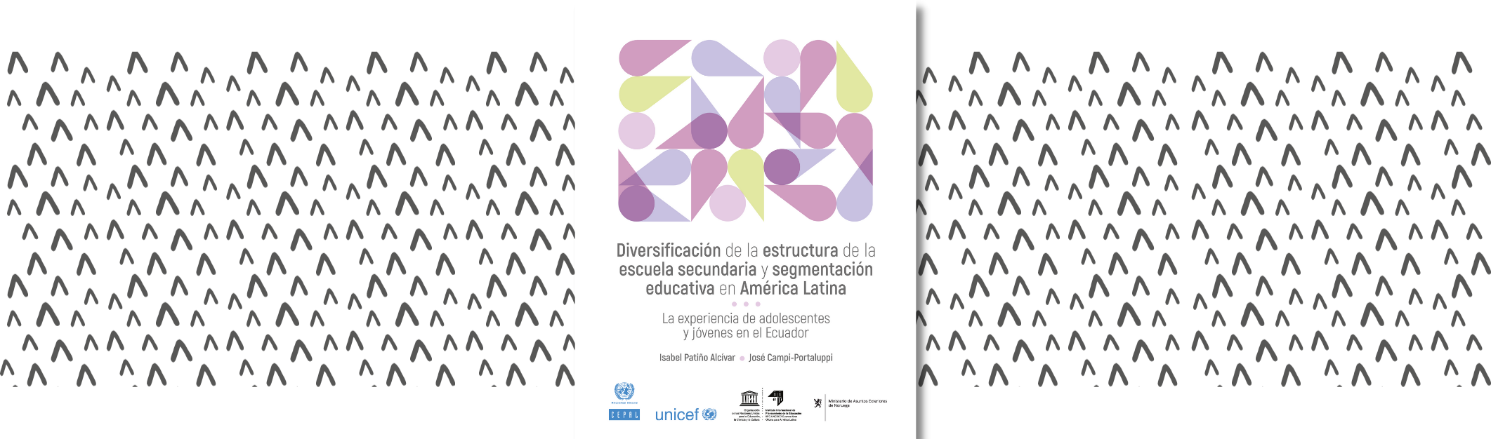 Diversificación de la estructura de la escuela secundaria y segmentación educativa en América Latina: la experiencia de adolescentes y jóvenes en el Ecuador