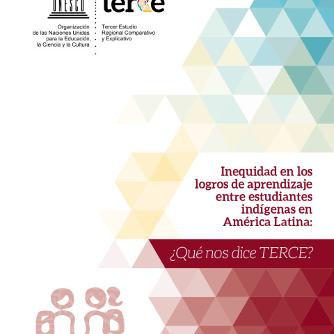 Inequidad en los logros de aprendizaje entre estudiantes indígenas en América Latina