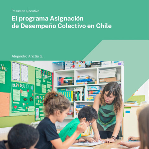 Resumen ejecutivo: El programa Asignación de Desempeño Colectivo en Chile